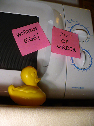 Duck Day 576 (30072010) - Egg zone