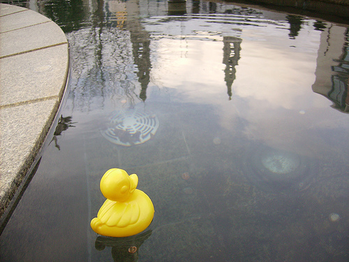 Duck Day 58 (27022009) - Leeds