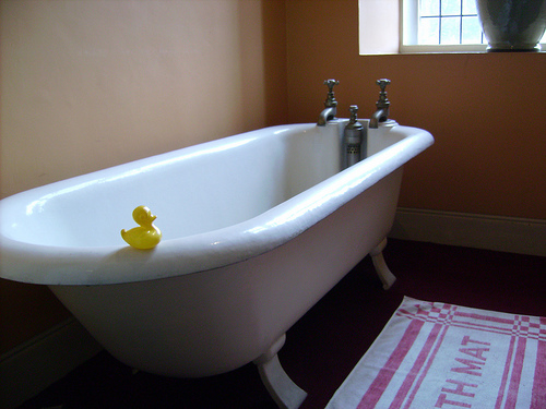 Duck Day 60 (01032009) - Temple Newsam Bath