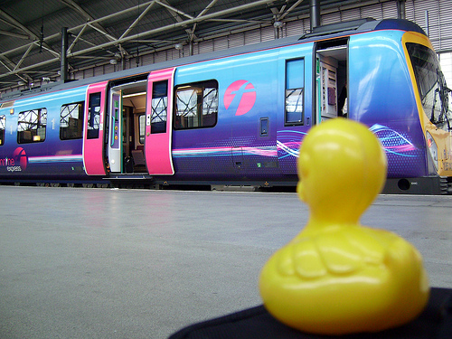 Duck Day 61 (02032009) - Heading Home