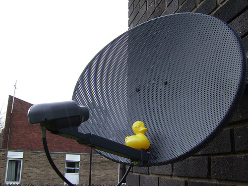 Duck Day 62 (03032009) - Satellite Installation