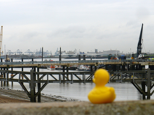 Duck Day 643 (05102010) - Down at the docks