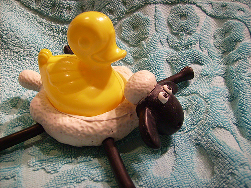 Duck Day 66 (07032009) - Bucking sheepo