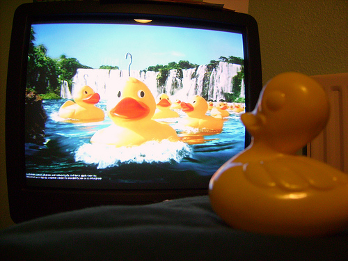 Duck Day 68 (09032009) - Hook a duck advert