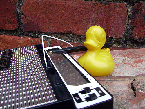 Duck Day 70 (11032009) - Making music