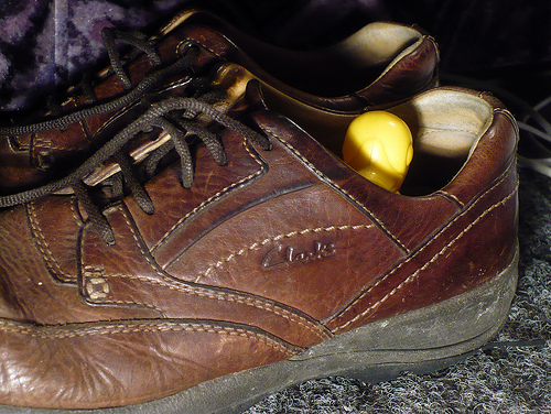 Duck Day 710 (11122010) - Hiding shoes