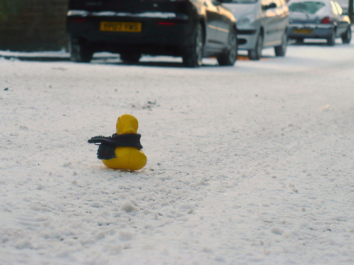 Duck Day 719 (20122010) - Slippy slope