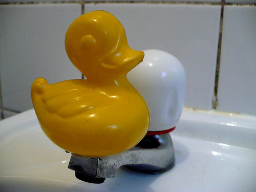 Duck Day 72 (13032009) - Tap Dancing