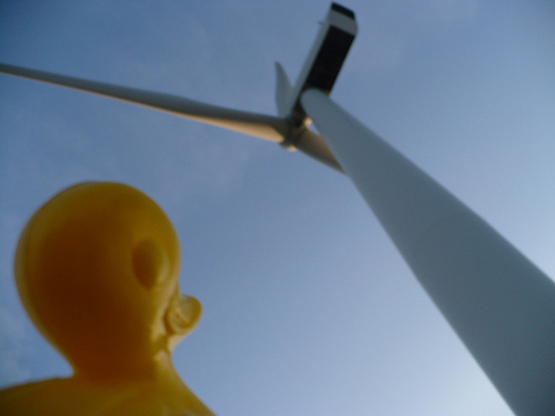 Duck Day 79 (20032009) - Big propeller