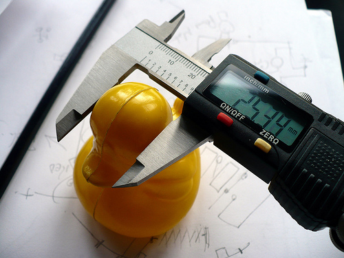 Duck Day 82 (23032009) - Big headed