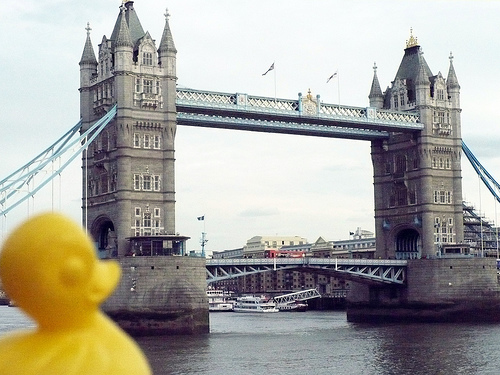 Duck Day 83 (24032009) - Tower bridge