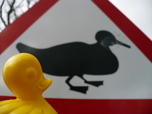 Duck Day 85 (26032009) - A sign
