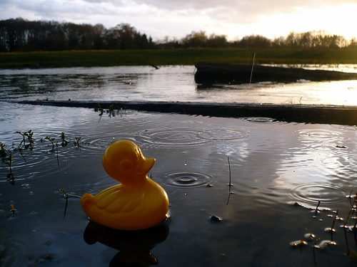 Duck Day 86 (27032009) - Nice weather for me