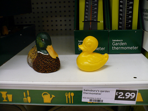 Duck Day 89 (30032009) - Duck in a shop