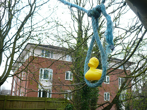 Duck Day 90 (31032009) - Rope swing