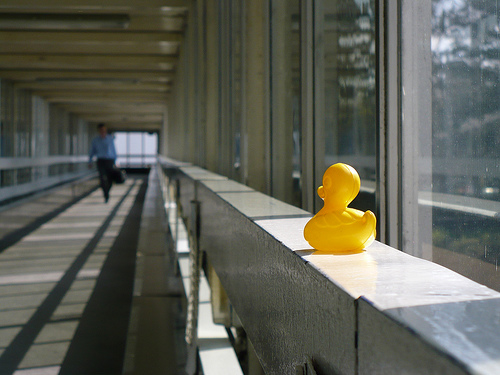 Duck Day 91 (01042009) - Motorway bridge