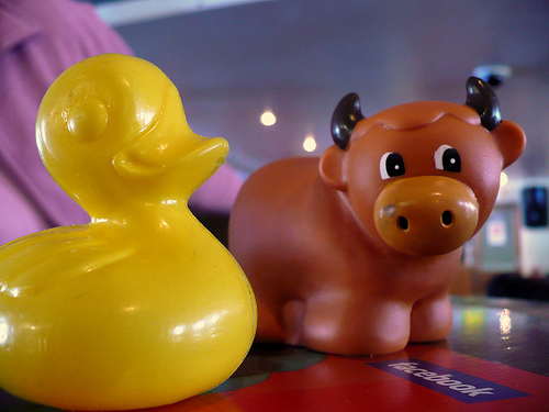 Duck Day 95 (05042009) - Moo