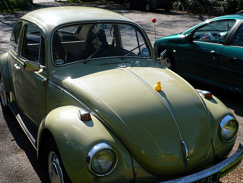 Duck Day 98 (08042009) - Herbie